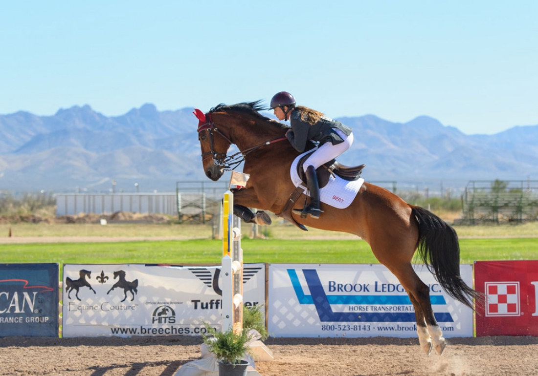 Starting your horse on the lunge