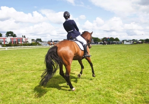 Backing and Riding Away Your Young Horse